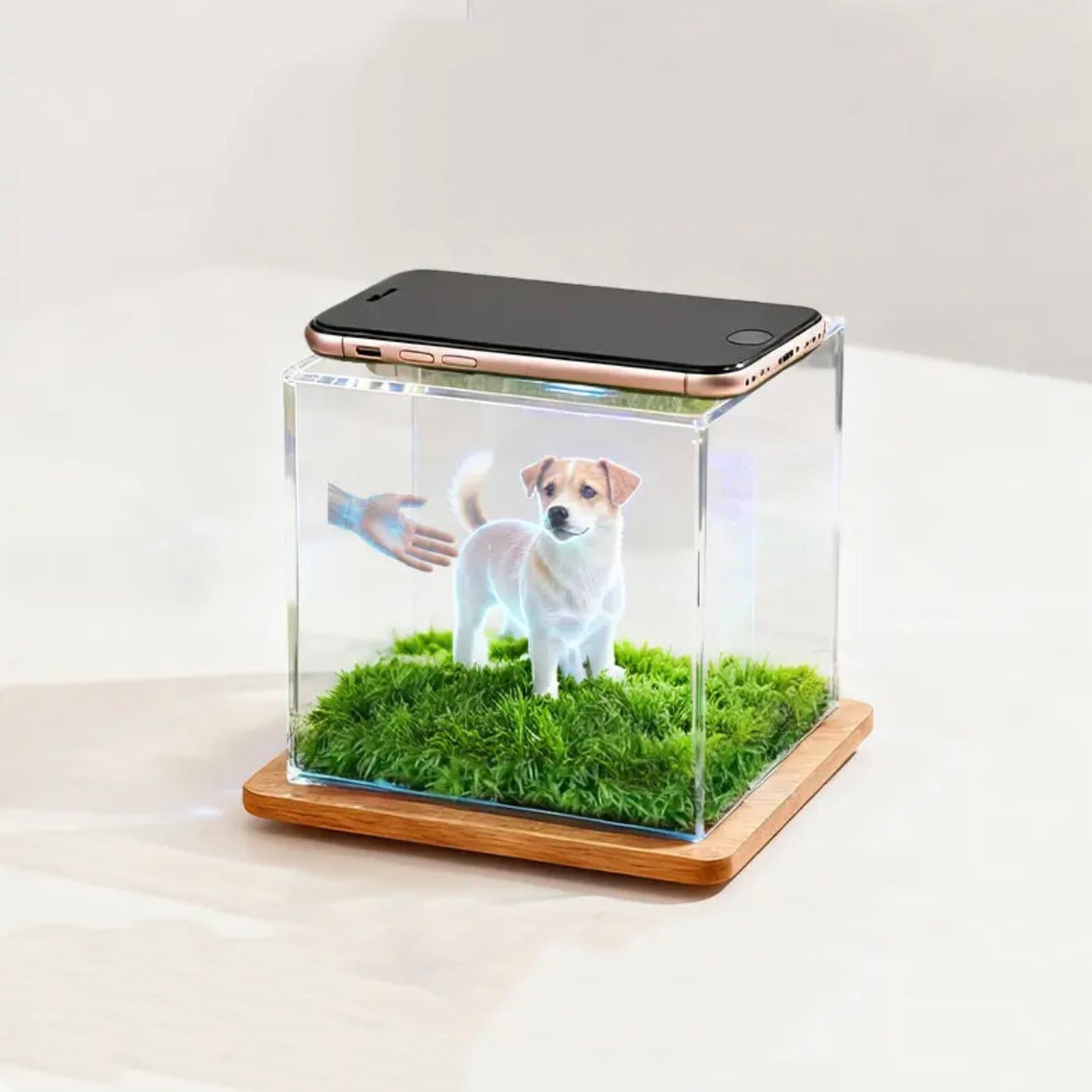 Custom Pet Holographic Memorial Box – DIY Pet Digital Shrine