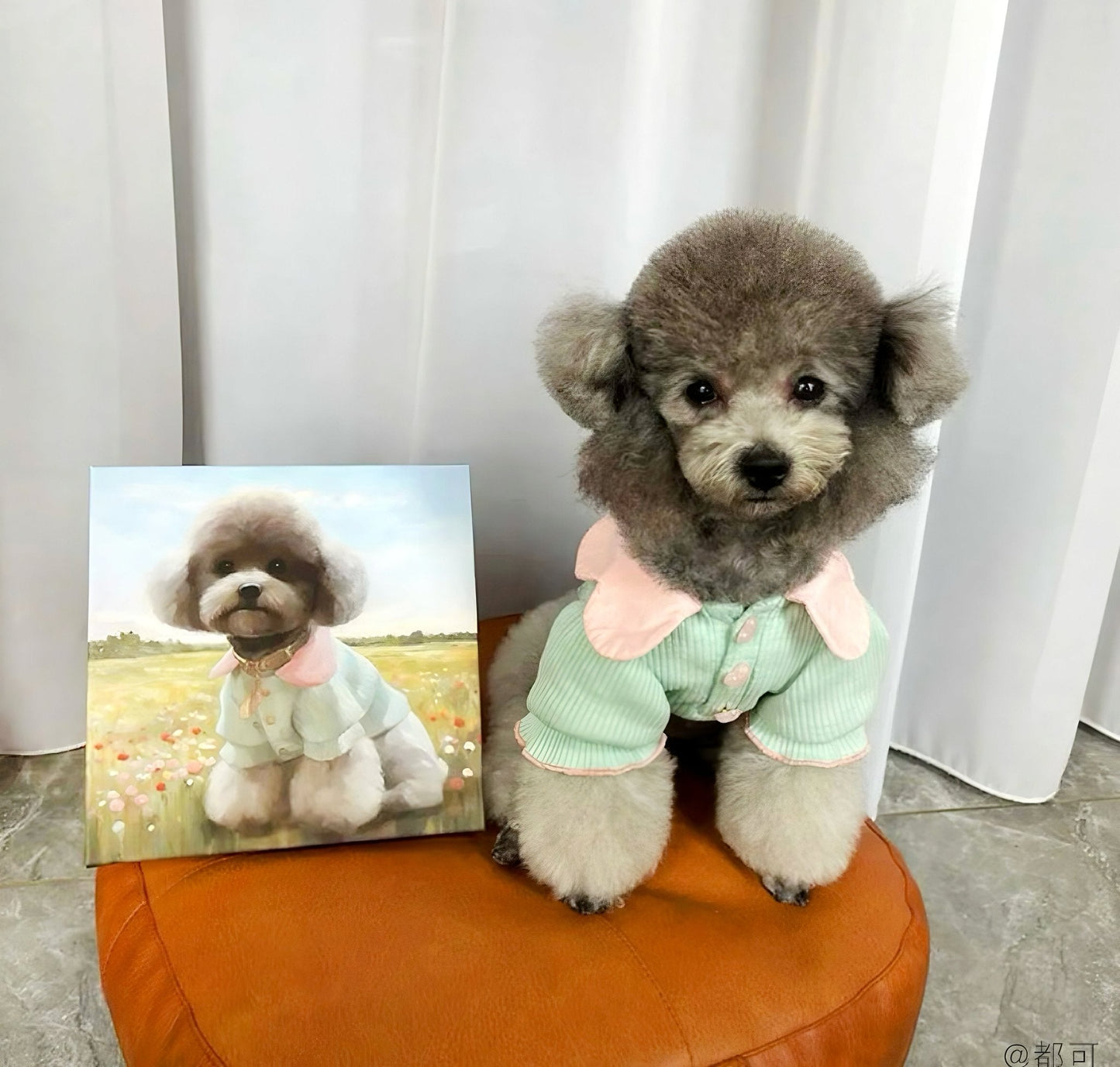 Custom Oil Painting Creative Pet Portrait