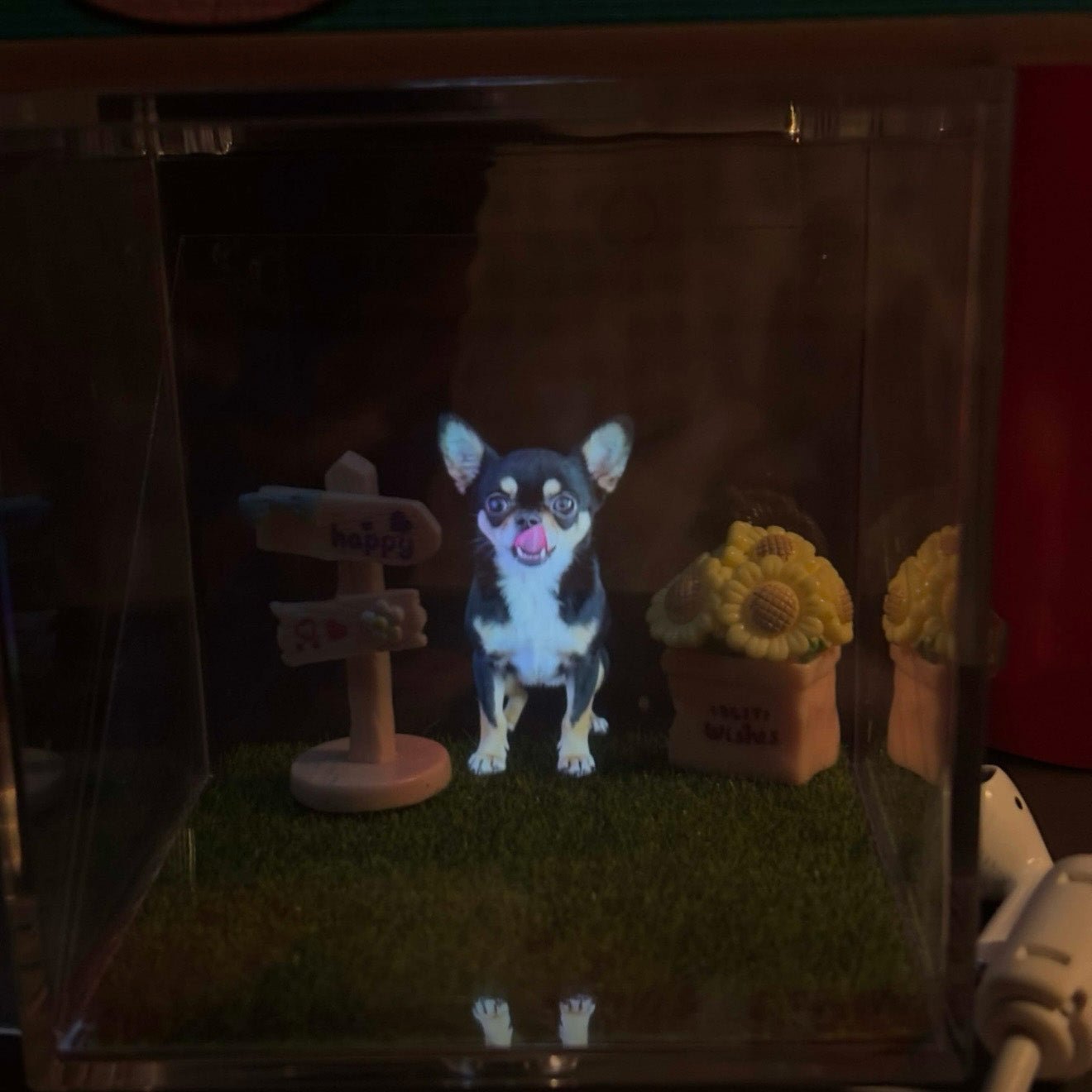 Custom Pet Holographic Memorial Box – DIY Pet Digital Shrine