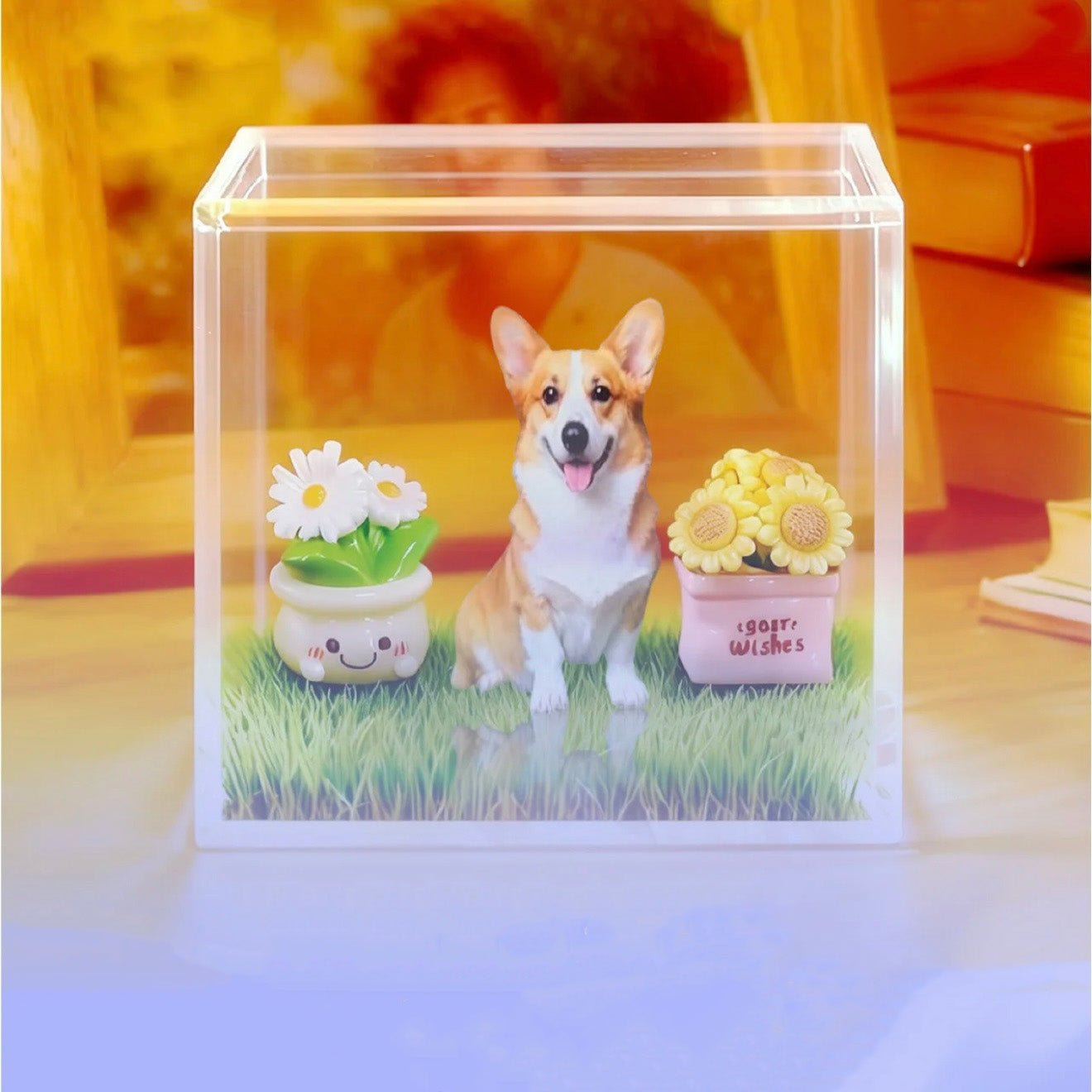 Custom Pet Holographic Memorial Box – DIY Pet Digital Shrine