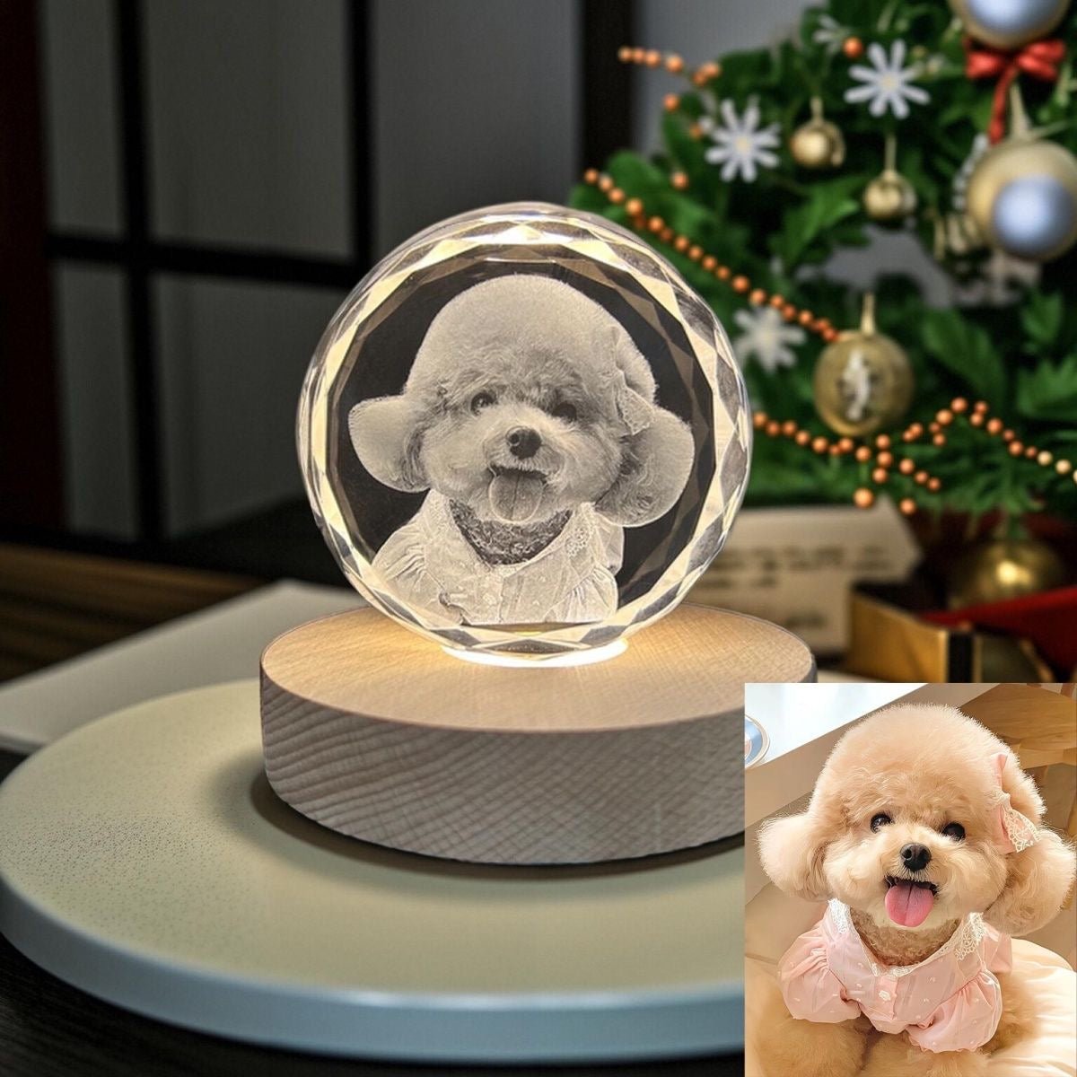Personalized 3D Laser-Engraved Pet Photo Memorial Crystal™