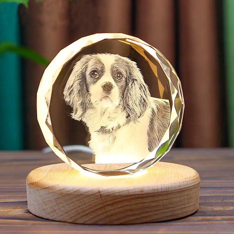 Personalized 3D Laser-Engraved Pet Photo Memorial Crystal™
