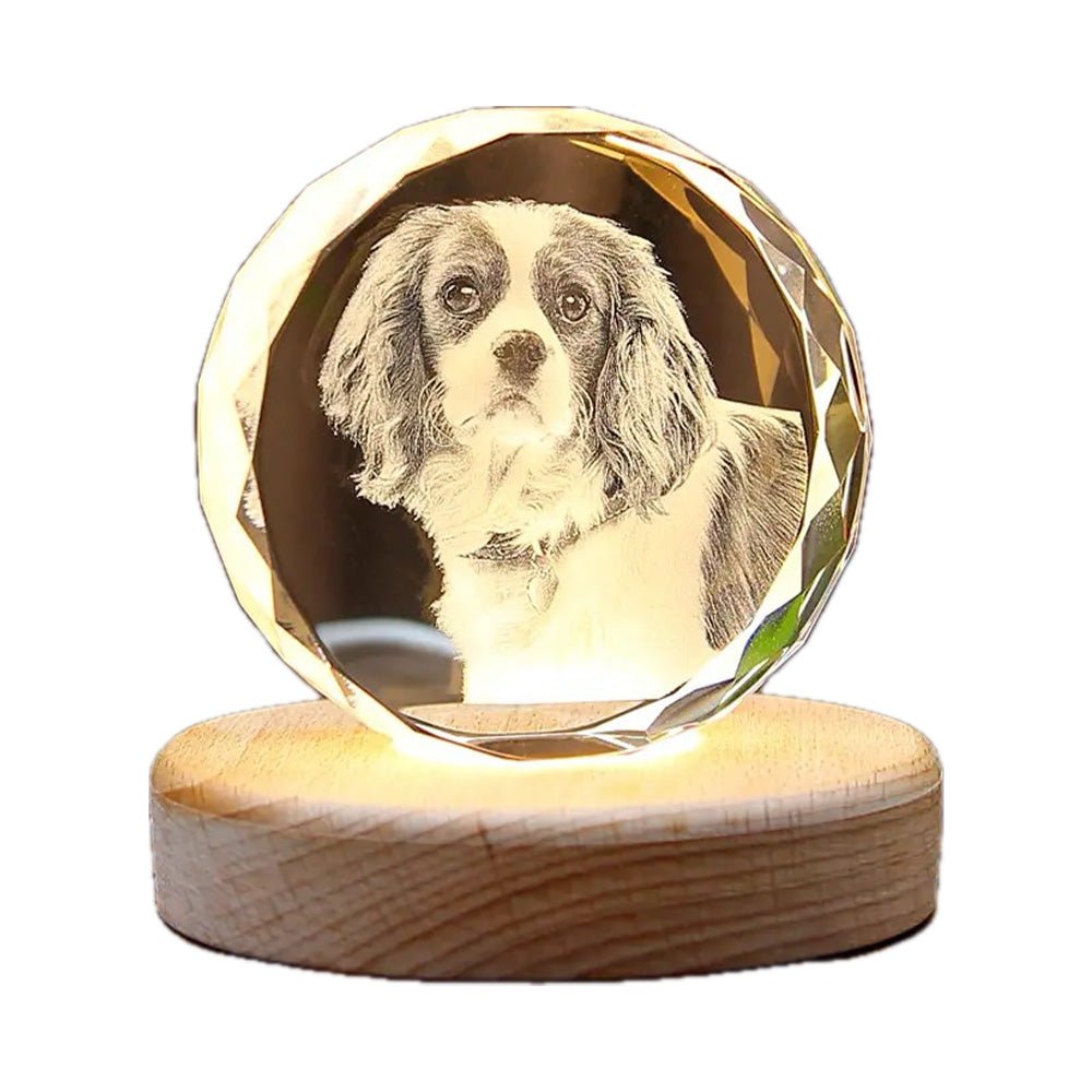 Personalized 3D Laser-Engraved Pet Photo Memorial Crystal™