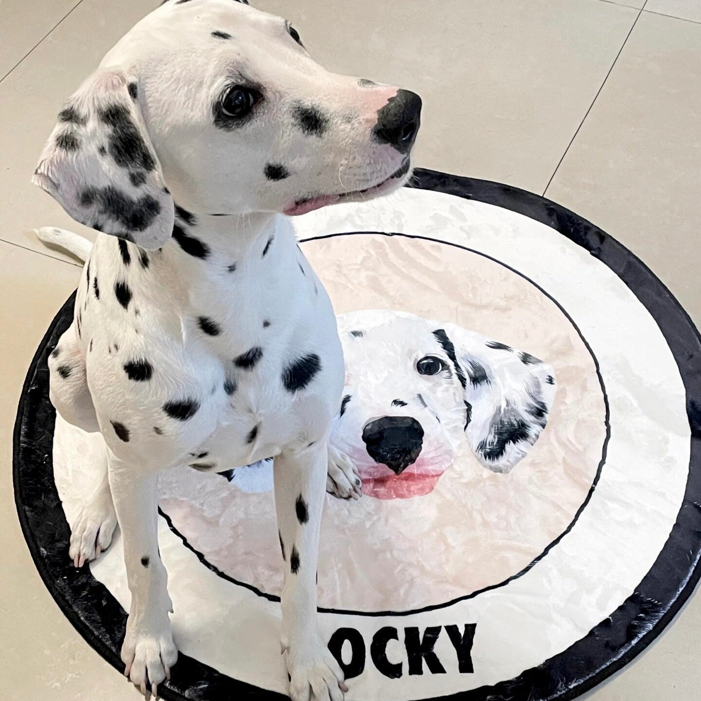Personalized Pet Portrait Rug